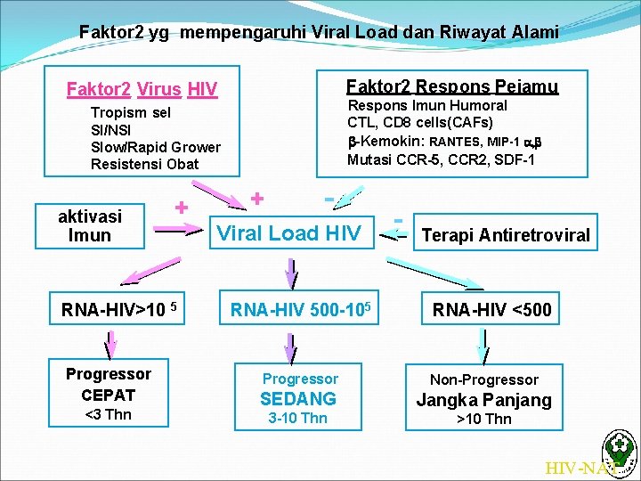 Faktor 2 yg mempengaruhi Viral Load dan Riwayat Alami Faktor 2 Respons Pejamu Faktor
