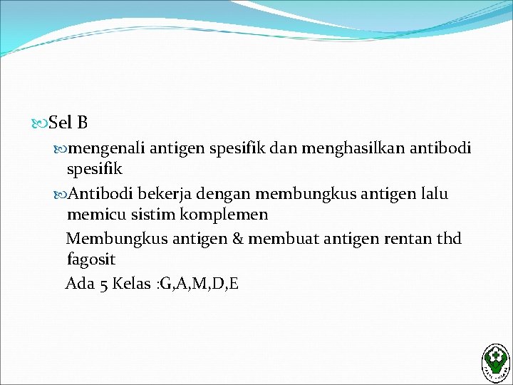  Sel B mengenali antigen spesifik dan menghasilkan antibodi spesifik Antibodi bekerja dengan membungkus
