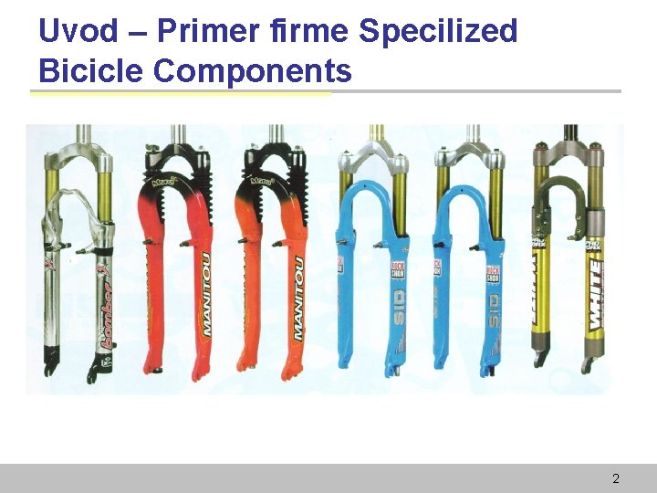 Uvod – Primer firme Specilized Bicicle Components 2 