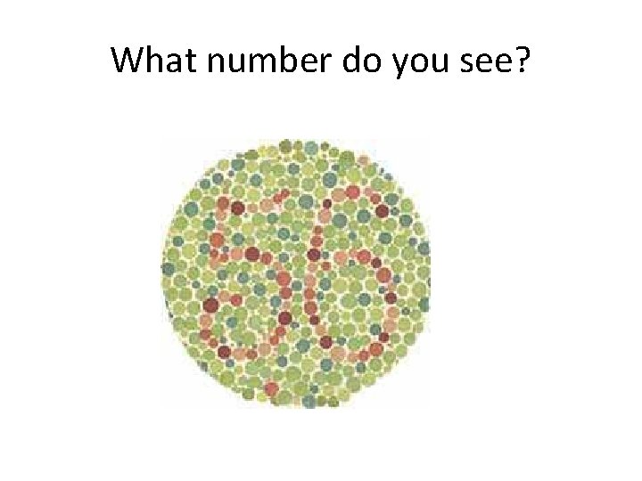 What number do you see? 