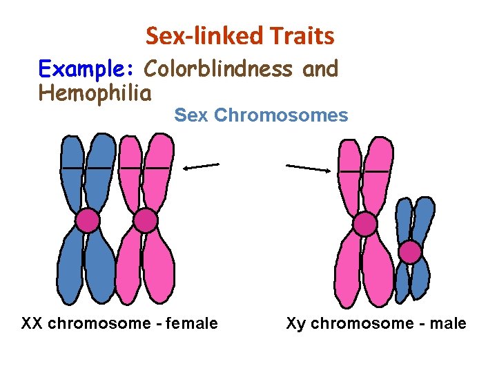 Sex-linked Traits Example: Colorblindness and Hemophilia Sex Chromosomes XX chromosome - female Xy chromosome