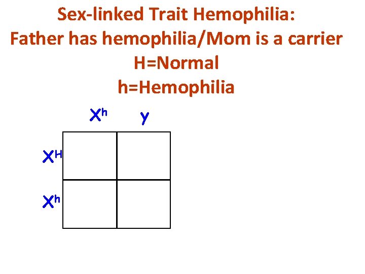 Sex-linked Trait Hemophilia: Father has hemophilia/Mom is a carrier H=Normal h=Hemophilia Xh XH Xh