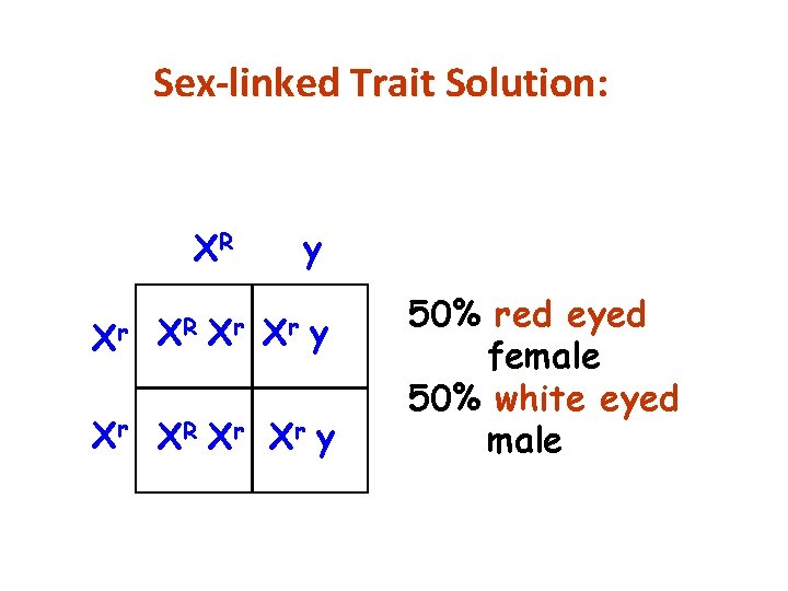 Sex-linked Trait Solution: XR Xr y Xr XR Xr Xr y 50% red eyed