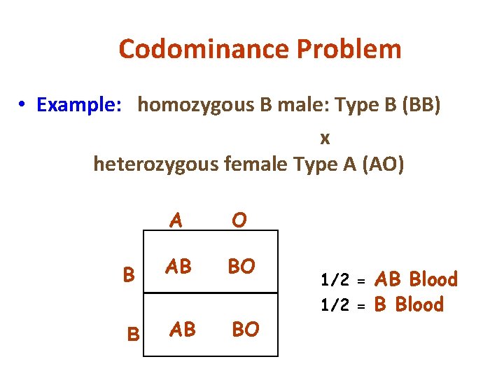 Codominance Problem • Example: homozygous B male: Type B (BB) x heterozygous female Type