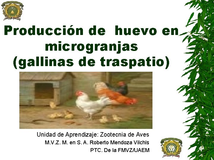 Producción de huevo en microgranjas (gallinas de traspatio) Unidad de Aprendizaje: Zootecnia de Aves