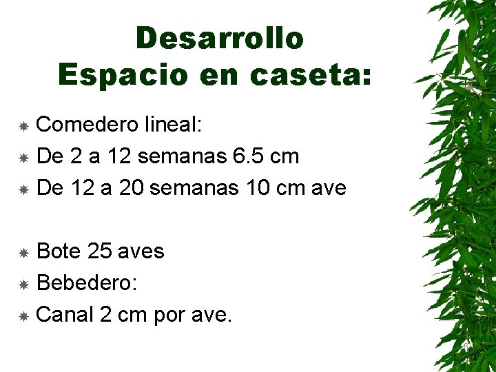 Desarrollo Espacio en caseta: Comedero lineal: De 2 a 12 semanas 6. 5 cm