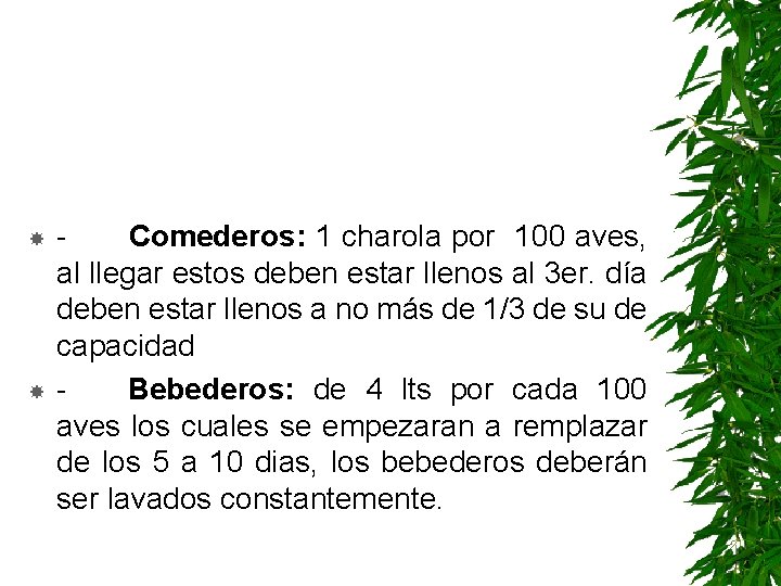  - Comederos: 1 charola por 100 aves, al llegar estos deben estar llenos