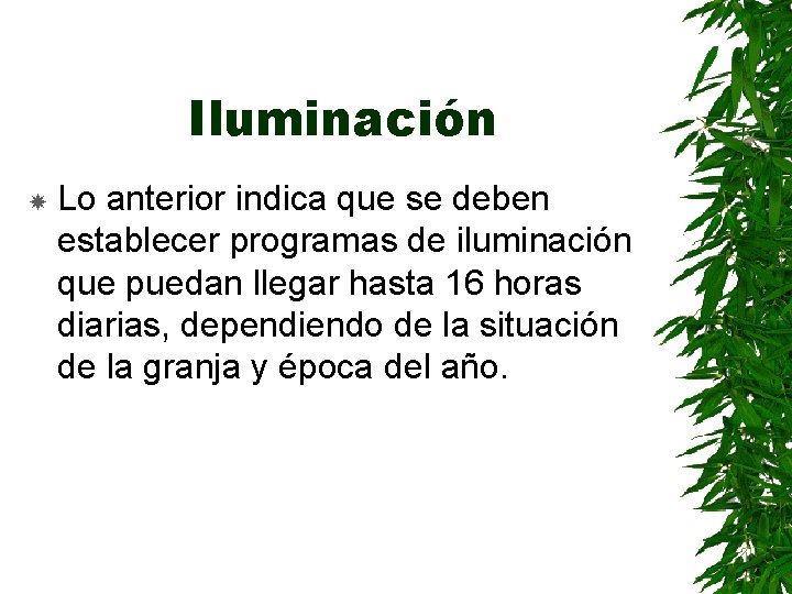 Iluminación Lo anterior indica que se deben establecer programas de iluminación que puedan llegar