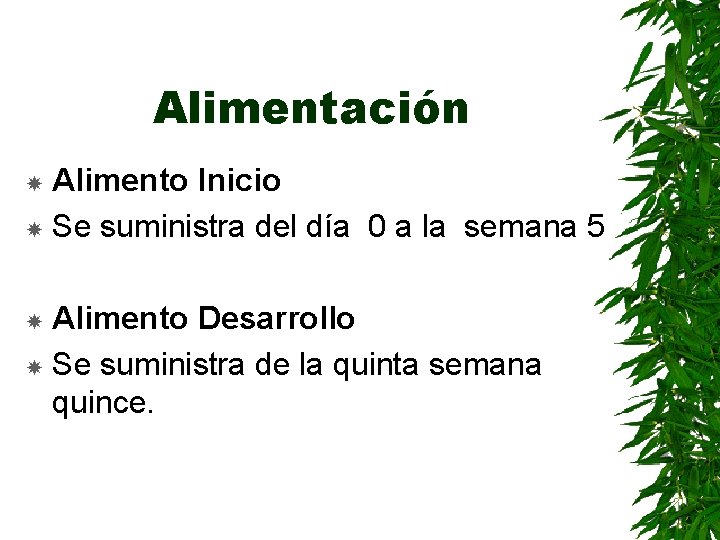 Alimentación Alimento Inicio Se suministra del día 0 a la semana 5 Alimento Desarrollo