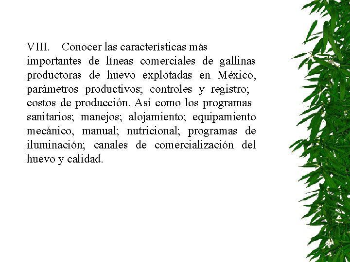 VIII. Conocer las características más importantes de líneas comerciales de gallinas productoras de huevo