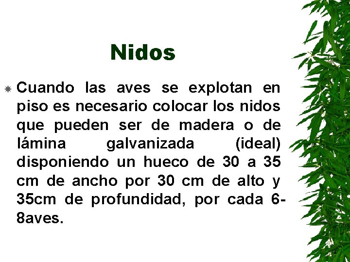 Nidos Cuando las aves se explotan en piso es necesario colocar los nidos que