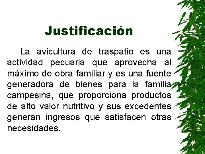 Justificación La avicultura de traspatio es una actividad pecuaria que aprovecha al máximo de