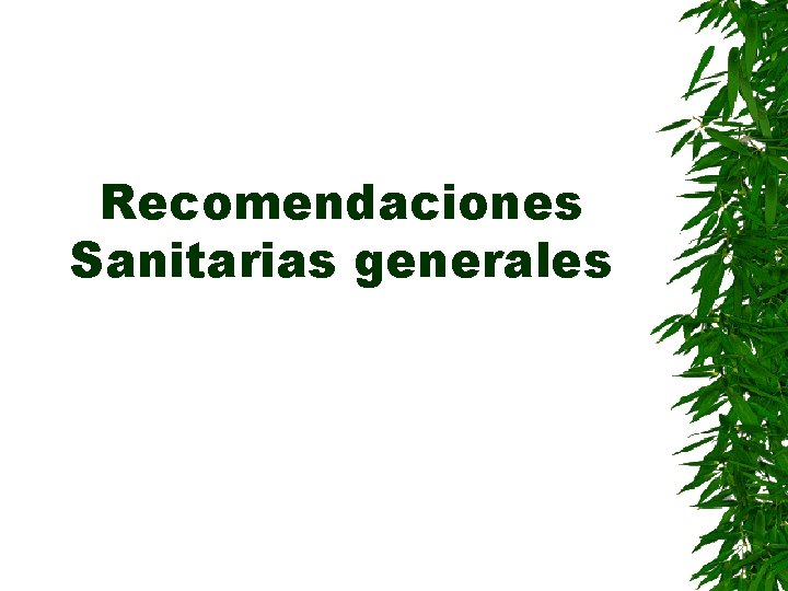 Recomendaciones Sanitarias generales 