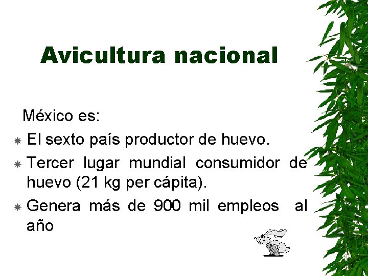 Avicultura nacional México es: El sexto país productor de huevo. Tercer lugar mundial consumidor