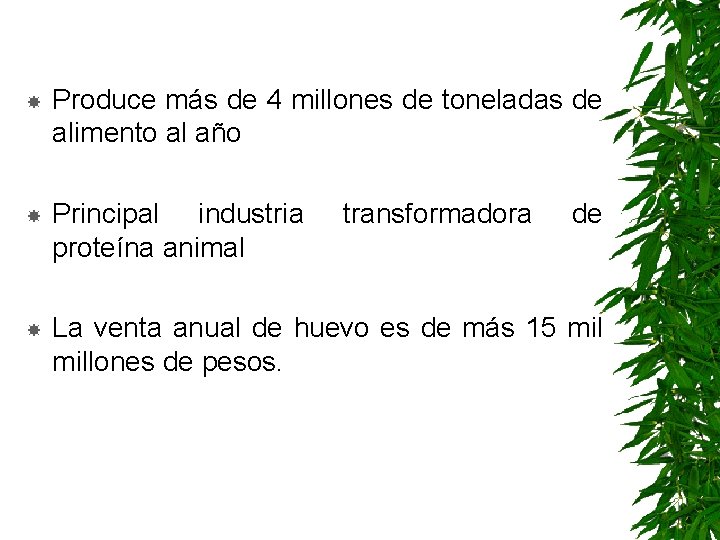  Produce más de 4 millones de toneladas de alimento al año Principal industria
