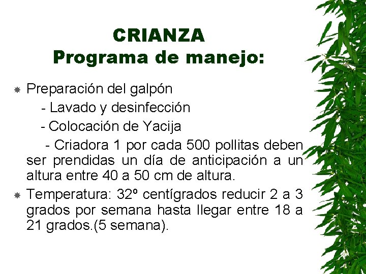 CRIANZA Programa de manejo: Preparación del galpón - Lavado y desinfección - Colocación de