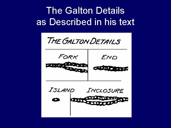 The Galton Details as Described in his text The Galton Details as Described in his text