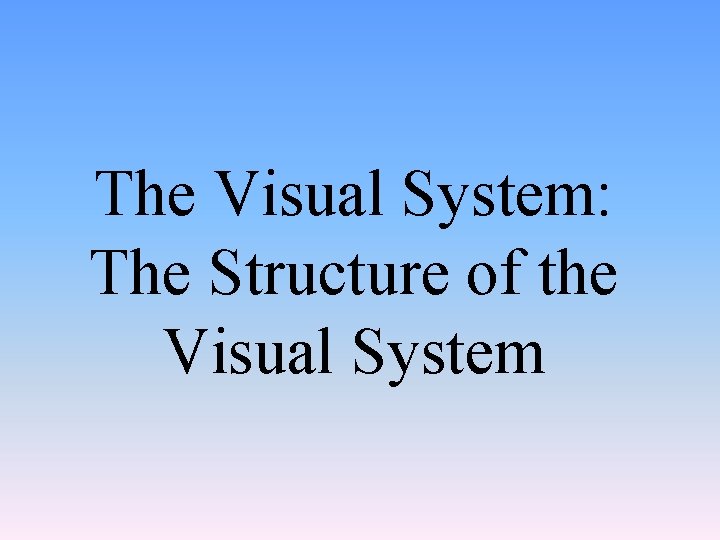 The Visual System: The Structure of the Visual System 