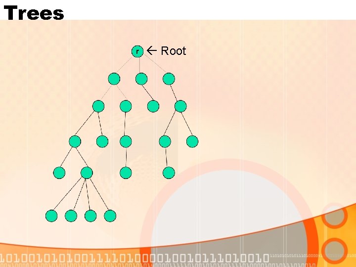 Trees Root 