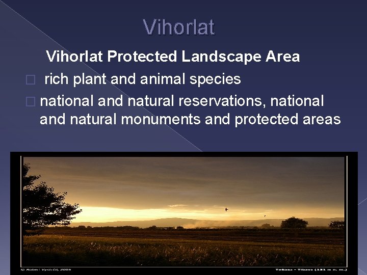  Vihorlat Protected Landscape Area � rich plant and animal species � national and