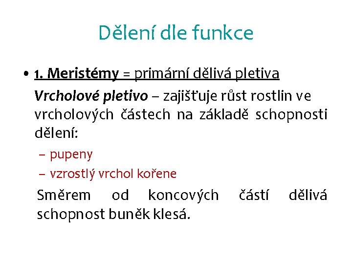 Dělení dle funkce • 1. Meristémy = primární dělivá pletiva Vrcholové pletivo – zajišťuje