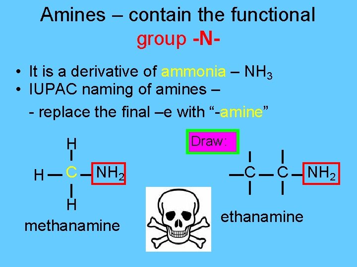 Amines – contain the functional group -N • It is a derivative of ammonia