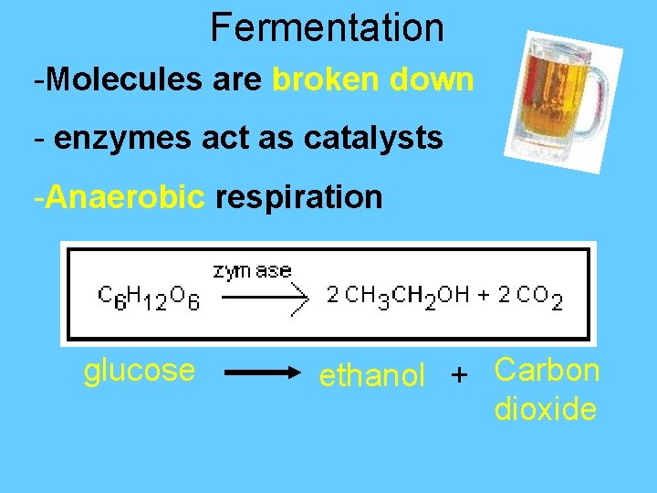 Fermentation -Molecules are broken down - enzymes act as catalysts -Anaerobic respiration glucose ethanol