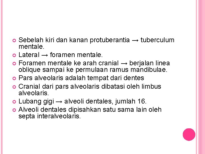Sebelah kiri dan kanan protuberantia → tuberculum mentale. Lateral → foramen mentale. Foramen mentale