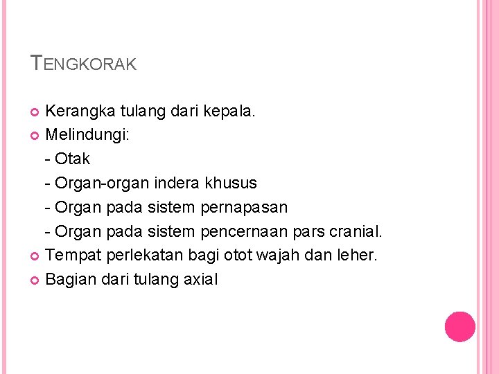TENGKORAK Kerangka tulang dari kepala. Melindungi: - Otak - Organ-organ indera khusus - Organ