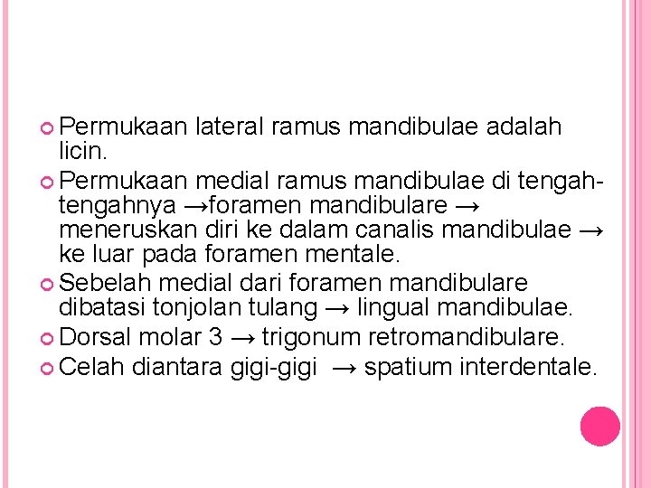  Permukaan lateral ramus mandibulae adalah licin. Permukaan medial ramus mandibulae di tengahnya →foramen