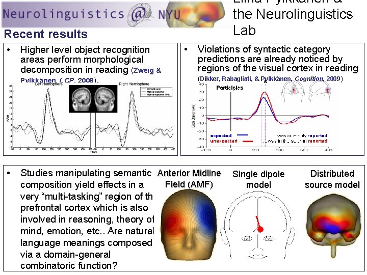 Liina Pylkkänen & the Neurolinguistics Lab Recent results • • Higher level object recognition