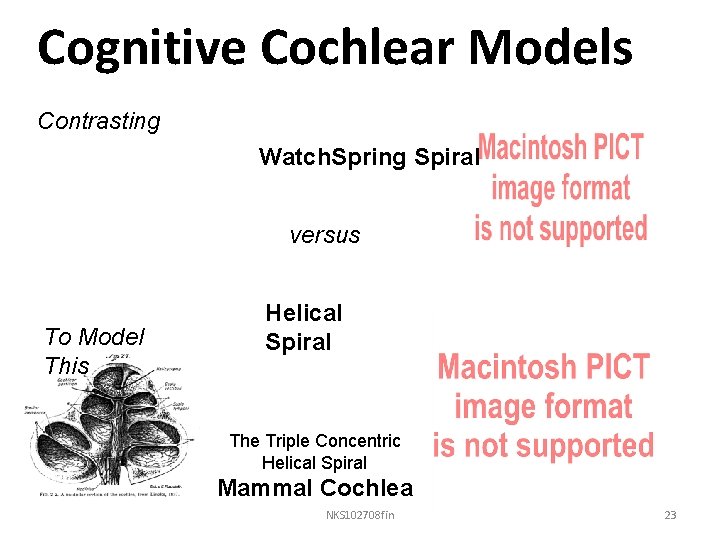 Cognitive Cochlear Models Contrasting Watch. Spring Spiral versus To Model This Helical Spiral The