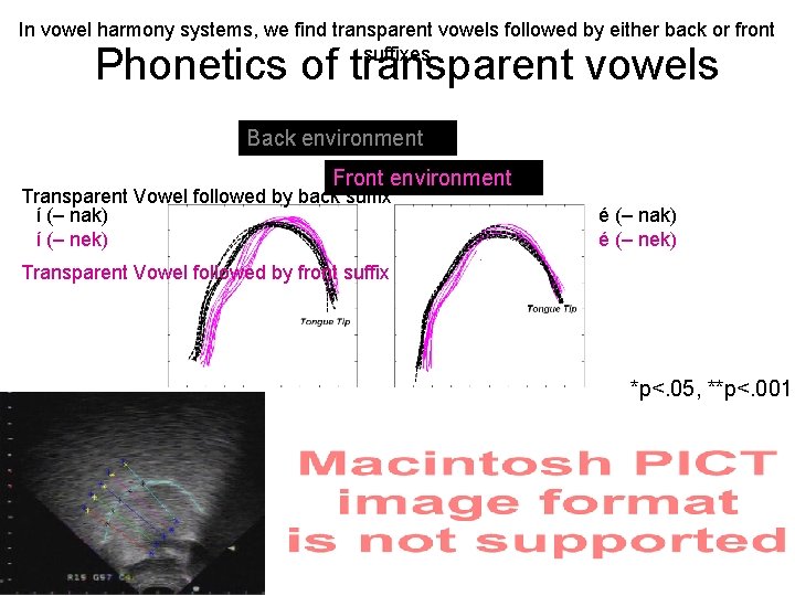 In vowel harmony systems, we find transparent vowels followed by either back or front