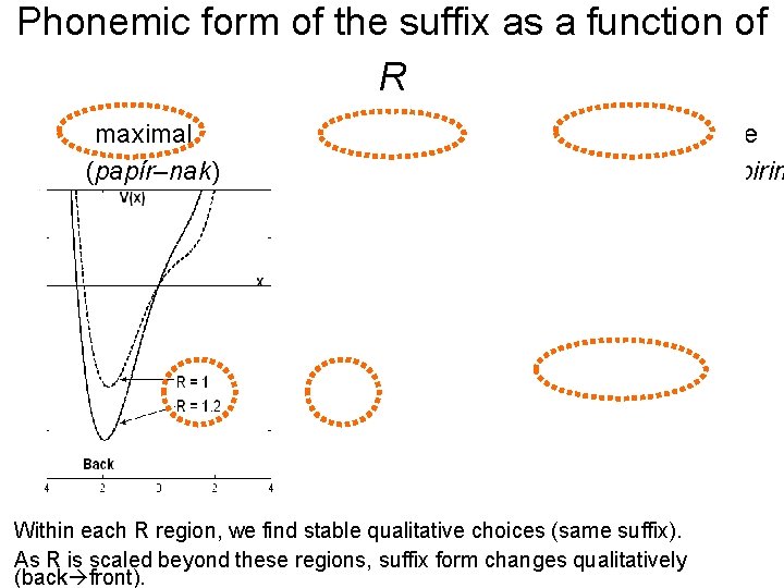 Phonemic form of the suffix as a function of R maximal minimal intermediate (papír–nak)