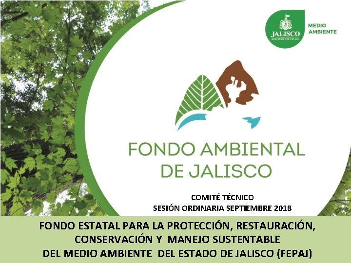 COMITÉ TÉCNICO SESIÓN ORDINARIA SEPTIEMBRE 2018 FONDO ESTATAL PARA LA PROTECCIÓN, RESTAURACIÓN, CONSERVACIÓN Y