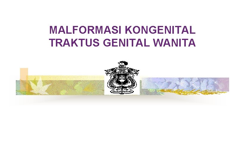 MALFORMASI KONGENITAL TRAKTUS GENITAL WANITA 