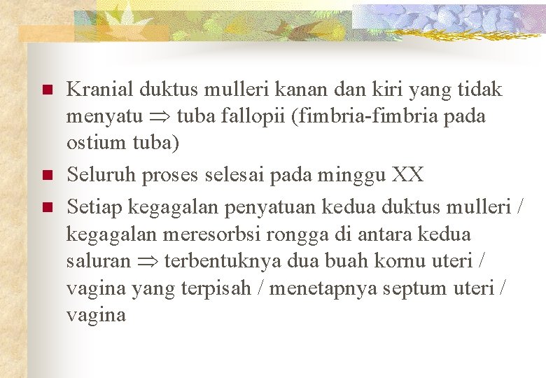 n n n Kranial duktus mulleri kanan dan kiri yang tidak menyatu tuba fallopii