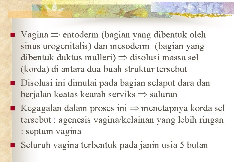 n n Vagina entoderm (bagian yang dibentuk oleh sinus urogenitalis) dan mesoderm (bagian yang