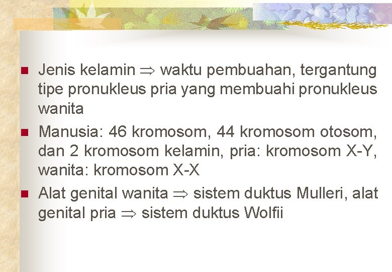 n n n Jenis kelamin waktu pembuahan, tergantung tipe pronukleus pria yang membuahi pronukleus