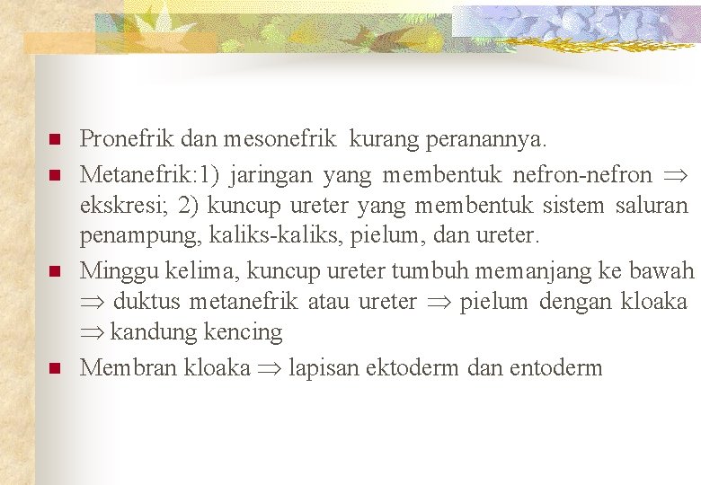 n n Pronefrik dan mesonefrik kurang peranannya. Metanefrik: 1) jaringan yang membentuk nefron-nefron ekskresi;