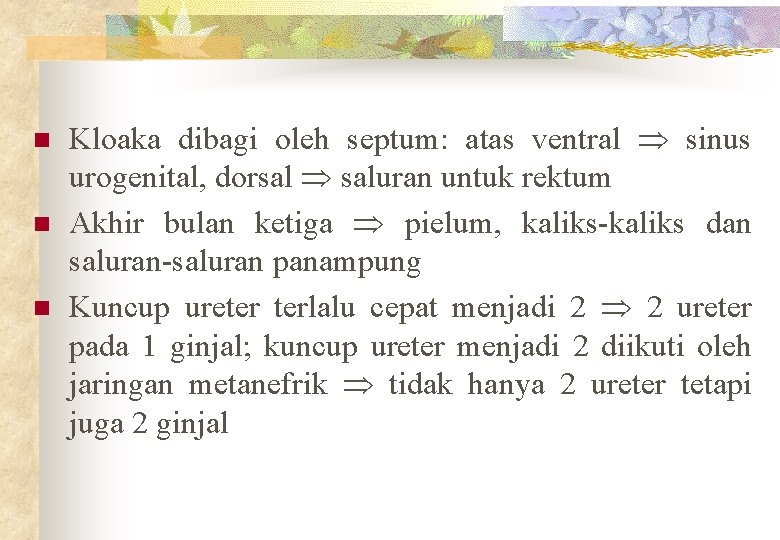 n n n Kloaka dibagi oleh septum: atas ventral sinus urogenital, dorsal saluran untuk