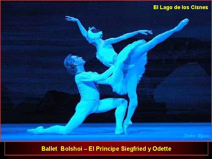 El Lago de los Cisnes Ballet Bolshoi – El Principe Siegfried y Odette 