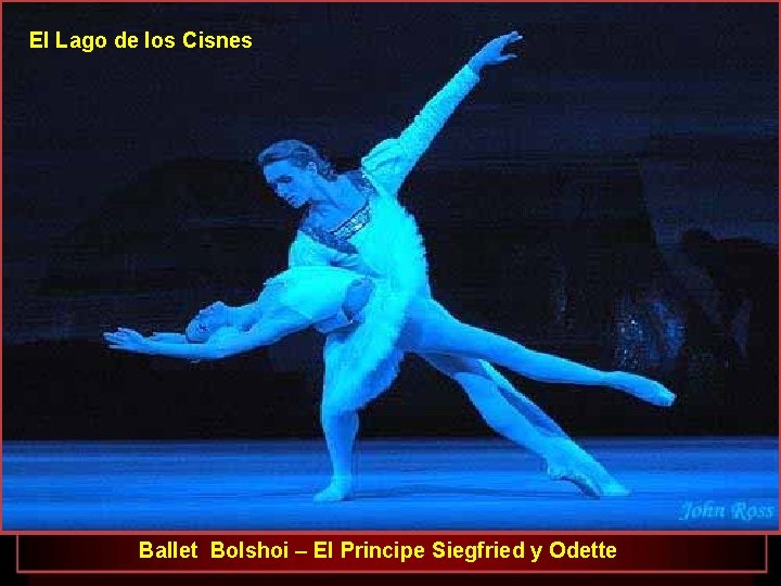 El Lago de los Cisnes Ballet Bolshoi – El Principe Siegfried y Odette 