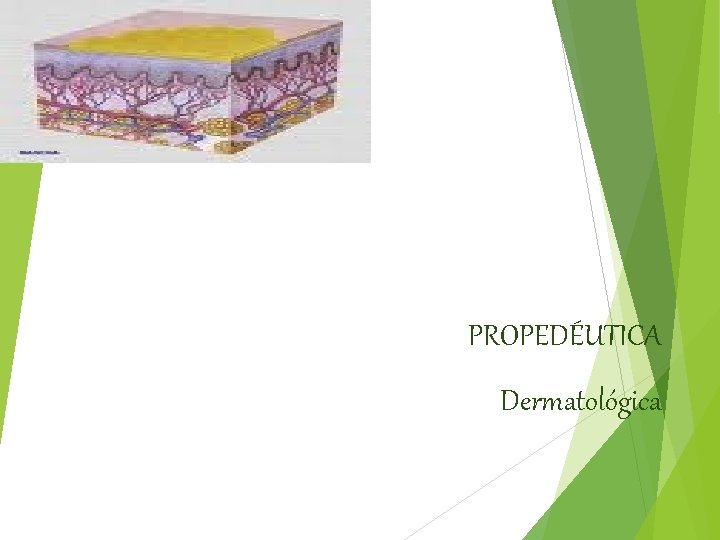 PROPEDÉUTICA Dermatológica 