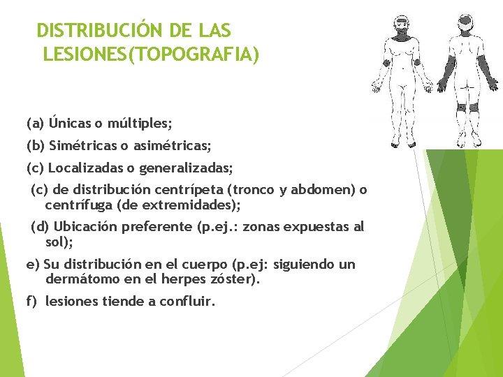 DISTRIBUCIÓN DE LAS LESIONES(TOPOGRAFIA) (a) Únicas o múltiples; (b) Simétricas o asimétricas; (c) Localizadas