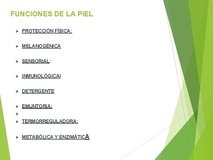 FUNCIONES DE LA PIEL Ø PROTECCIÓN FÍSICA: Ø MELANOGÉNICA Ø SENSORIAL: Ø INMUNOLÓGICA) Ø