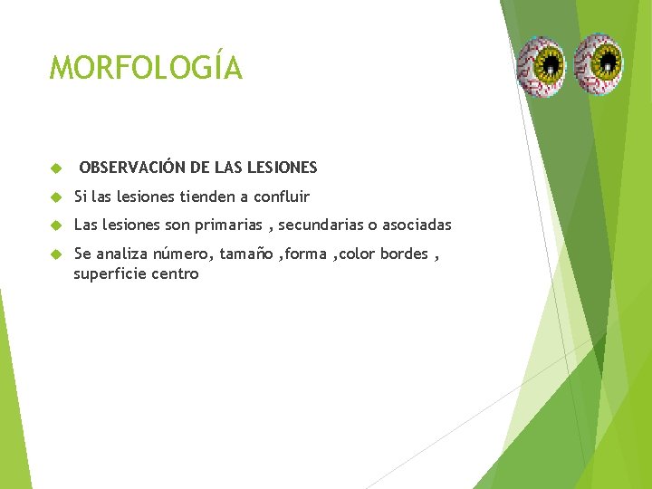 MORFOLOGÍA OBSERVACIÓN DE LAS LESIONES Si las lesiones tienden a confluir Las lesiones son