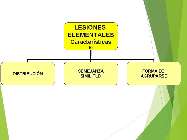 LESIONES ELEMENTALES Características (2) DISTRIBUCIÓN SEMEJANZA SIMILITUD FORMA DE AGRUPARSE 