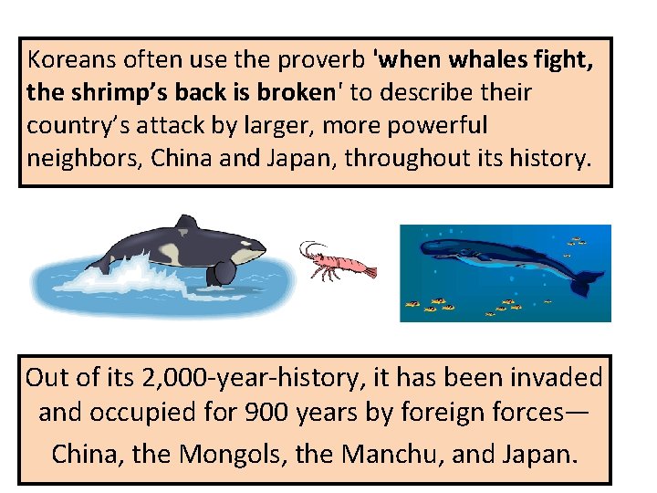 Koreans often use the proverb 'when whales fight, the shrimp’s back is broken' broken