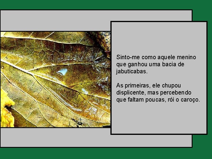 Sinto-me como aquele menino que ganhou uma bacia de jabuticabas. As primeiras, ele chupou